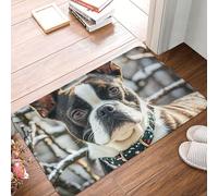 Paillasson discret - Antidérapant - Lavable - Joli terrier de Boston - Tapis de sol pour intérieur et extérieur - Pour couloir, maison, bureau - 60 x 40 cm