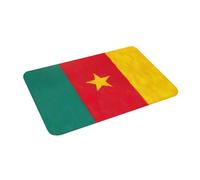 Paillasson Drapeau du Cameroun Peint À l'huile Anti-Poussière Tapis Porte Résistant Paillasson D'Entree pour Bureau Couloir Jardin 60X40Cm