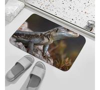 Paillasson en caoutchouc antidérapant lavable - Motif lézard assis sur un rocher - Tapis de cuisine pour extérieur et intérieur - Tapis d'entrée discret pour maison, porche, couloir, cuisine