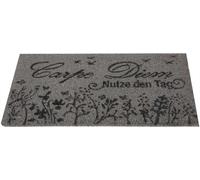 Paillasson en noix de coco - gris - 25x50cm Carpe Diem