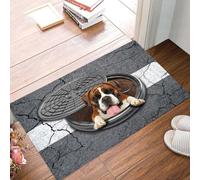 paillasson Exterieur Entree Apparition Surprise d'un Boxeur pour Les Amoureux des Boxeurs - Paillasson