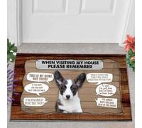 paillasson Exterieur Entree Bébé Welsh Corgi 3 Ans en Visite chez Moi