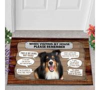 paillasson Exterieur Entree Berger des Shetland 2 Visite chez Moi Paillasson