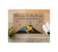 paillasson Exterieur Entree Bienvenue chez Moi ! Ici, Les Humains ne Font Que Vivre. Paillasson d'intérieur et d'extérieur avec Perroquet