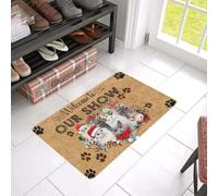 paillasson Exterieur Entree Bienvenue dans Notre Exposition féline ! Tapis de Bienvenue Facile à Nettoyer