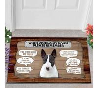 paillasson Exterieur Entree Bull Terrier 2 Visite chez Moi Paillasson