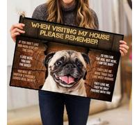 paillasson Exterieur Entree Carlin, Lors de Votre Visite chez Moi, Veuillez Penser au paillasson.