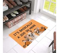 paillasson Exterieur Entree C'est Un Vrai Zoo Ici !