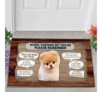 paillasson Exterieur Entree Chien en Peluche 2 Visite chez Moi Paillasson