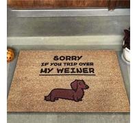 paillasson Exterieur Entree Désolé si Vous trébuchez sur Mon paillasson Teckel