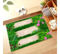 Paillasson Exterieur Entree Escalier Pierre Verte Tapis D'entrée Anti-Poussière Tapis de Bain Antidérapant Tapis Entree Interieur Lavable Tapis Salon Chambre Cuisine Couloir(60x90cm)