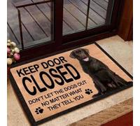 paillasson Exterieur Entree Gardez la Porte fermée - Ne Laissez Pas Sortir Les Chiens, Quoi qu'ils Vous Disent. Citation sur Le paillasson.