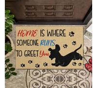 paillasson Exterieur Entree La Maison, C'est là où Quelqu'un Court Vous accueillir. Paillasson pour Chien.