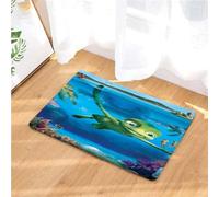 paillasson Exterieur Entree L'histoire de la Tortue, Les Aventures de Sammy, Les paillassons