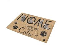 paillasson Exterieur Entree Maison pour Chats : Un Endroit où l'on a Beaucoup de Chats