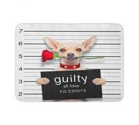 paillasson Exterieur Entree Mauvaise Saint-Valentin : Un Chihuahua avec Une Rose dans la Gueule, Photo d'identité judiciaire, Coupable d'arrestation pour Amour. Paillasson.