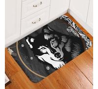 paillasson Exterieur Entree Paillasson à Cadre de Loup