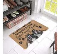 paillasson Exterieur Entree Paillasson approuvé pour Les épagneuls Springer Anglais