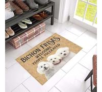 paillasson Exterieur Entree Paillasson Bichon Frisé