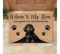 paillasson Exterieur Entree Paillasson « Bienvenue chez Moi » avec Un Teckel