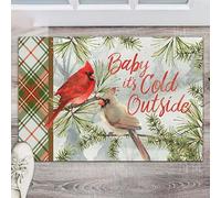 paillasson Exterieur Entree Paillasson Cardinal « Bébé, il Fait Froid Dehors »