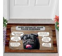 paillasson Exterieur Entree Paillasson Carlin 1 en Visite chez Moi