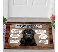 paillasson Exterieur Entree Paillasson Carlin 3 en Visite chez Moi