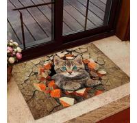 paillasson Exterieur Entree Paillasson Chat Qui Regarde