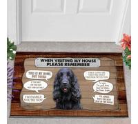 paillasson Exterieur Entree Paillasson Cocker Spaniel 2 en Visite chez Moi