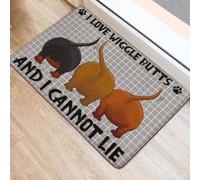 paillasson Exterieur Entree Paillasson de Bienvenue Facile à Nettoyer, idéal pour Les Petits bobos Qui gigotent et Qui ne mentent Pas