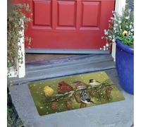 paillasson Exterieur Entree Paillasson d'intérieur et d'extérieur avec Un Cardinal d'hiver et Ses Amis