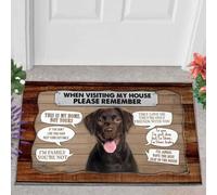 paillasson Exterieur Entree Paillasson Labrador Souriant 1 en Visite chez Moi