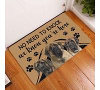 paillasson Exterieur Entree Paillasson Mastiff « Pas Besoin de Frapper, on Sait Que Vous êtes l࠻