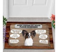 paillasson Exterieur Entree Paillasson Papillon 1 Visite chez Moi