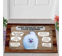 paillasson Exterieur Entree Paillasson Poméranien 2 en Visite chez Moi