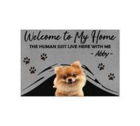 paillasson Exterieur Entree Paillasson Poméranien Bienvenue chez Moi