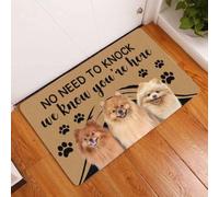 paillasson Exterieur Entree Paillasson Poméranien « Pas Besoin de Frapper, on Sait Que Vous êtes là »