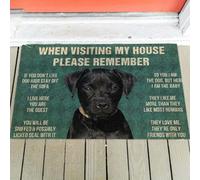 paillasson Exterieur Entree Paillasson « Règles du Patterdale Terrier »