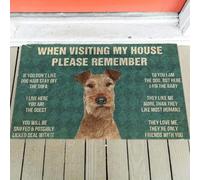 paillasson Exterieur Entree Paillasson « Règles du Terrier Irlandais »