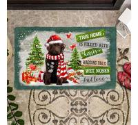 paillasson Exterieur Entree Paillasson Terre-Neuve « Cette Maison est remplie de Baisers »