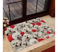 paillasson Exterieur Entree Paillasson « Un tas de Bichons frisés »