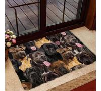 paillasson Exterieur Entree Paillasson « Un tas de Cane Corso »