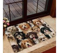 paillasson Exterieur Entree Paillasson « Un tas de Havanais »