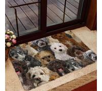 paillasson Exterieur Entree Paillasson « Un tas de Schnoodles »