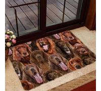 paillasson Exterieur Entree Paillasson « Un tas de Setters Irlandais »