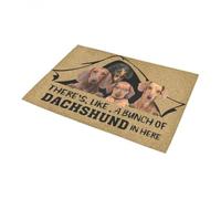 paillasson Exterieur Entree Paillasson « Un tas de teckels Ici »