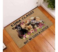 paillasson Exterieur Entree Plutôt Classe, mais on Jure Un Peu.