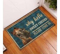 paillasson Exterieur Entree Pourquoi « Bonjour, Douces Joues, Veuillez Entrer » ? Paillasson à Chevaux