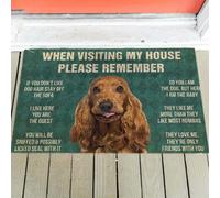 paillasson Exterieur Entree Règles du paillasson pour Cocker Spaniel Anglais