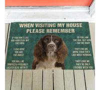 paillasson Exterieur Entree Règles du paillasson pour épagneul Springer Anglais